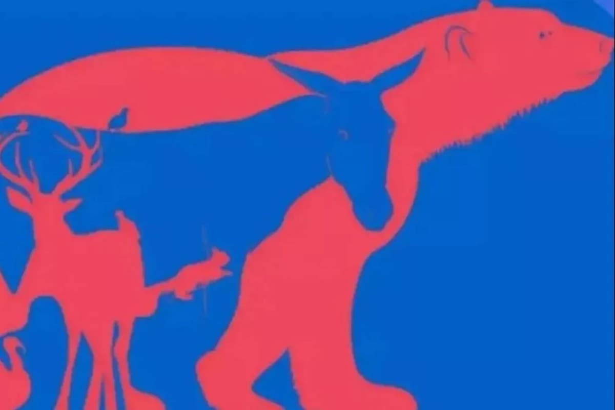 Descubrí todos los animales escondidos en esta imagen y conocé tu coeficiente intelectual