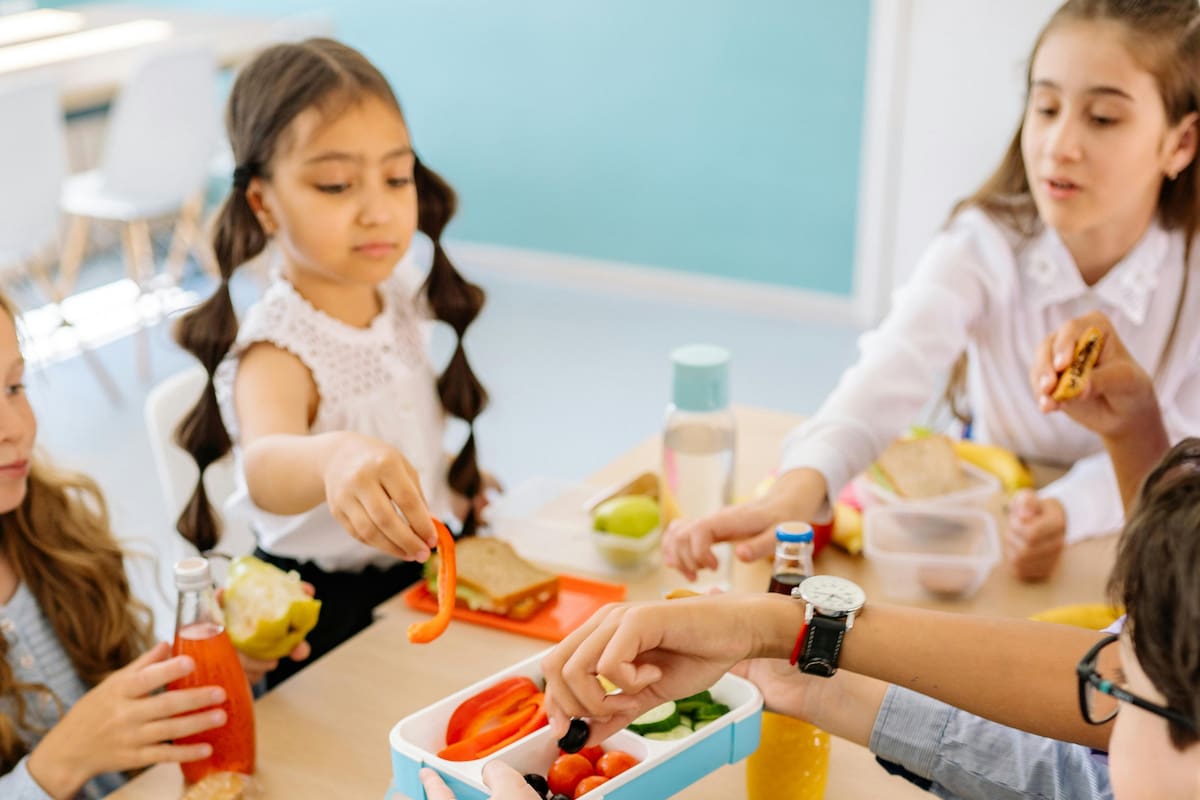 Descubrí tres tipos de viandas indispensables para que tus hijos puedan llevar al cole