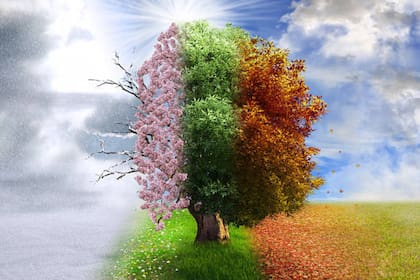 Descubrí tu personalidad según la estación del año en que naciste