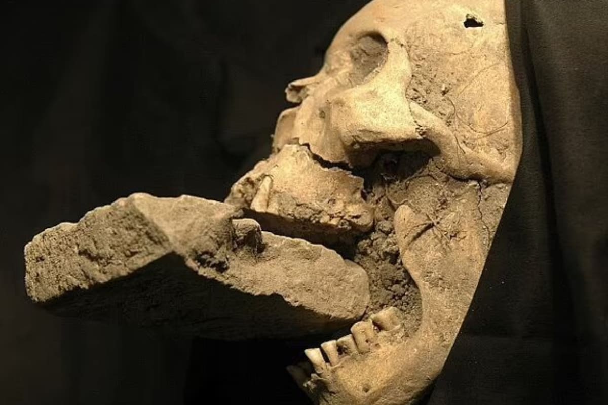 Descubrieron a la “vampira” italiana: murió hace miles de años y fue enterrada con un ladrillo en la boca