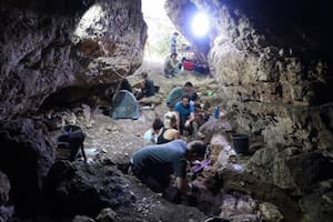 Descubrieron en Israel un dato revelador sobre la historia de la humanidad