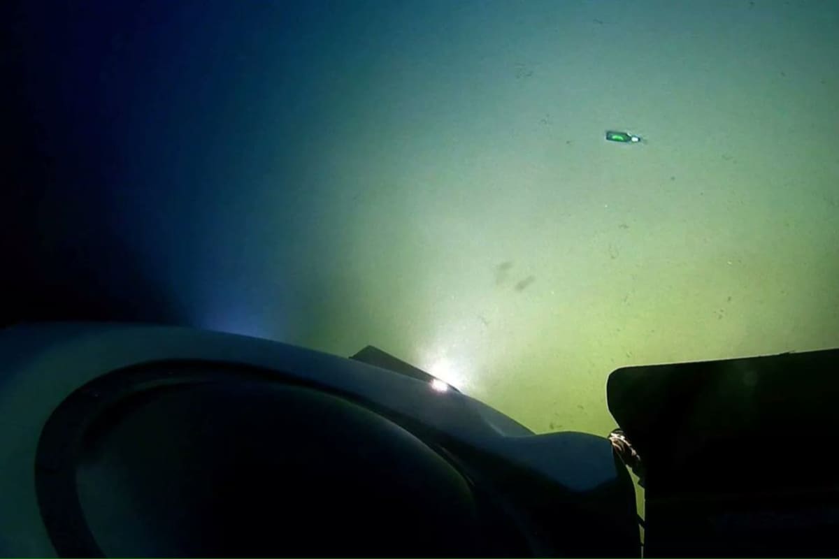 Descubrieron en la profundidad del oceáno un objeto impensado (Foto: X/@@deepseadawn)