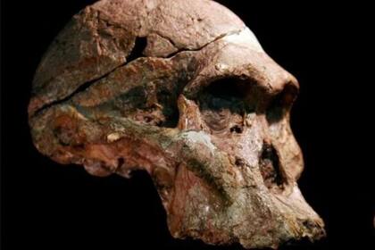Descubrieron en Sudáfrica los restos humanos más antiguos de ese país y su material genético es similar al de pobladores que aún viven en la actualidad (Foto ilustrativa)
