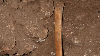 Descubrieron que nuestros antepasados hacían utensilios con los cuerpos de los muertos (Foto: EFE)