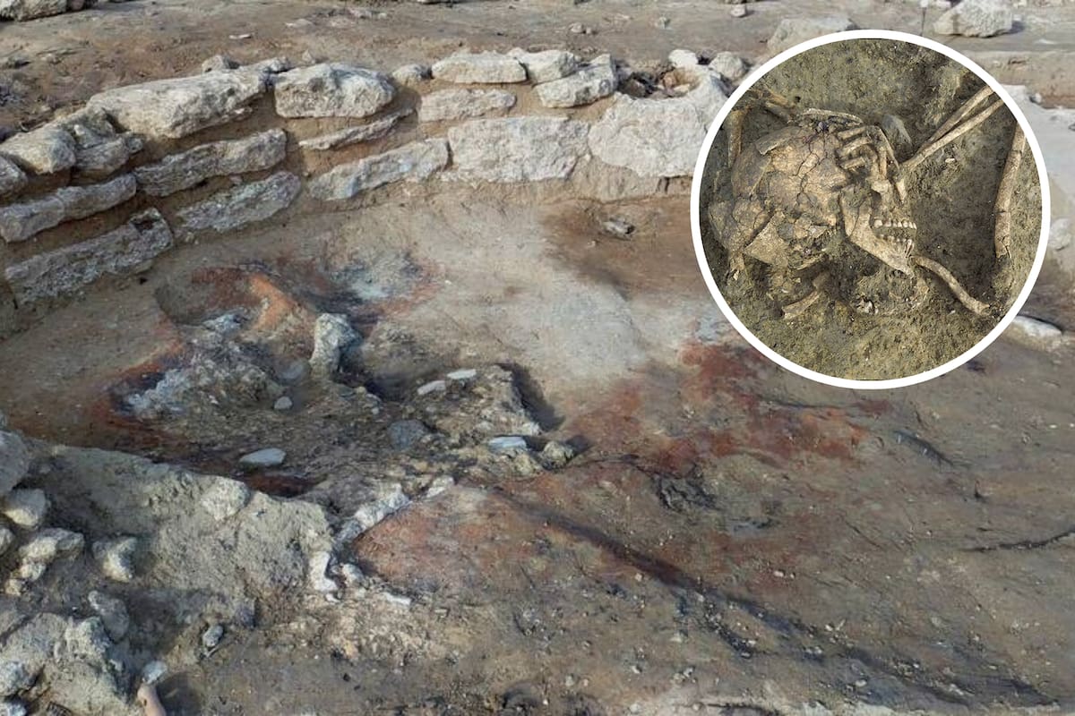 Descubrieron un esqueleto que fue enterrado hace 5000 años con un ritual funerario único en Francia