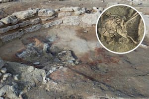Descubrieron un esqueleto que fue enterrado hace 5000 años con un ritual funerario único en Francia