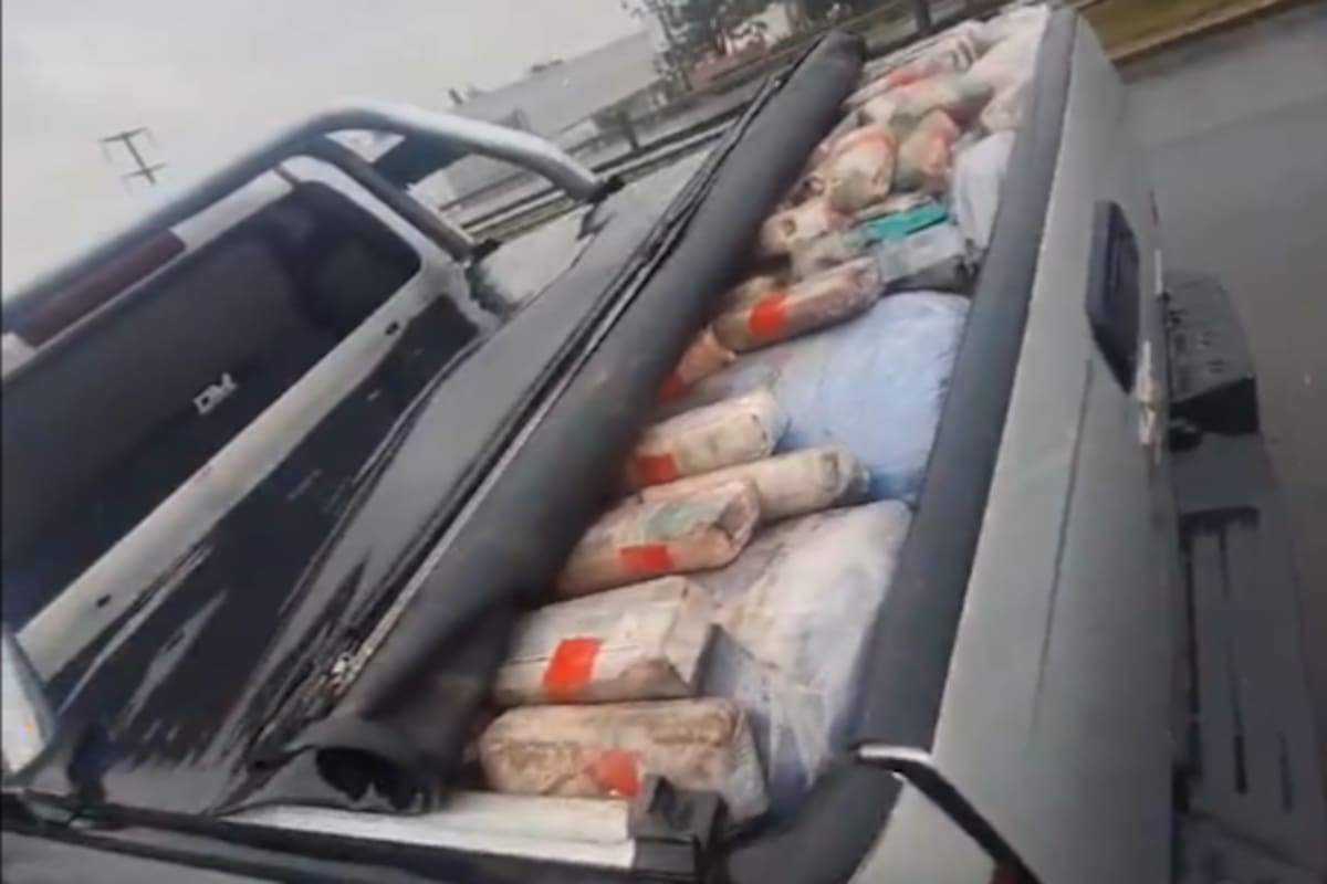 Descubrieron una tonelada de hoja de coca. Foto: captura