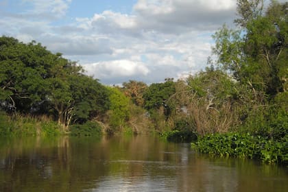 Desde 1700 desaparecieron el 87% de los humedales. Desde 1970, el 35%.