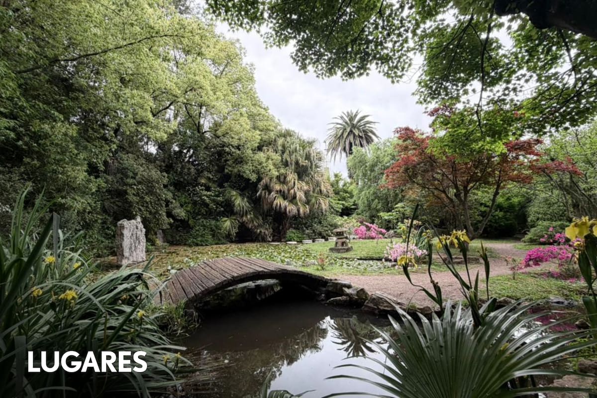 Desde 1969 se levanta en un lugar impensado de la zona norte