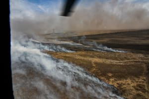 Desde 2020 hasta hoy, en la zona del Delta del Paraná se quemaron más de un millón de hectáreas