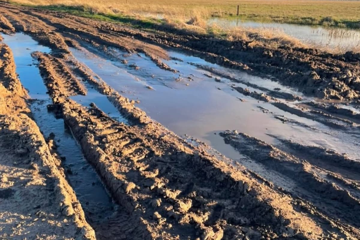 "Desde Chillar, que es la punta del partido, hasta Cacharí, que es la otra punta, tenés problemas de pantanos y caminos inaccesibles”, afirmaron en la Rural de Azul