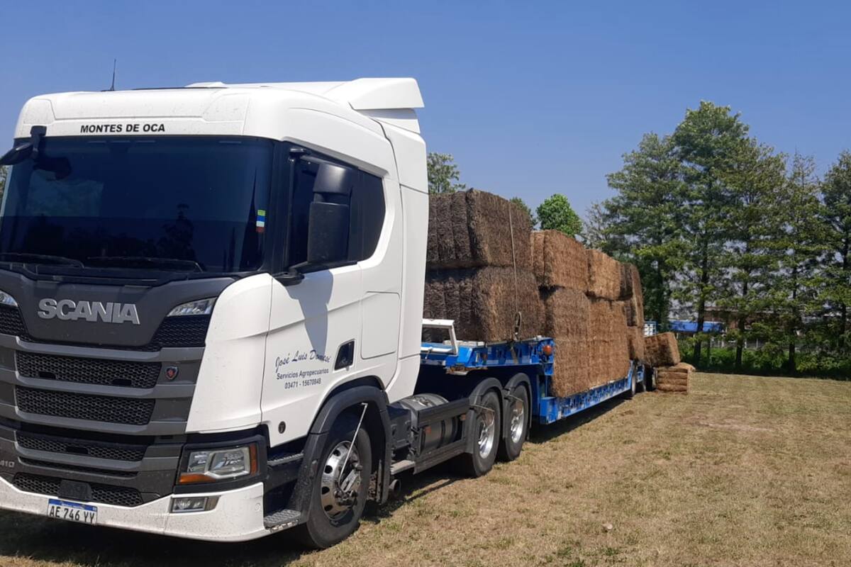 Desde distintas regiones del país se envía forraje