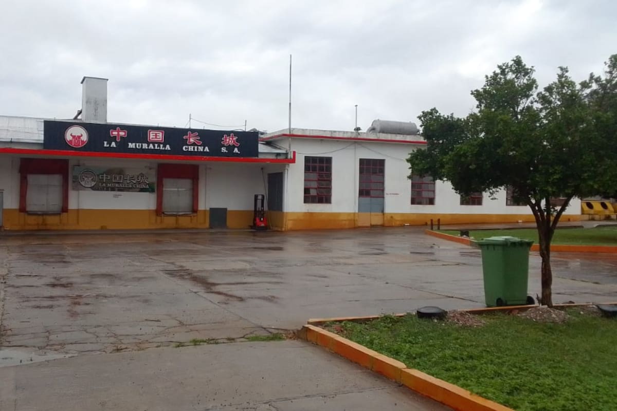 Desde el 25 de agosto pasado la planta frigorífica dejó de faenar