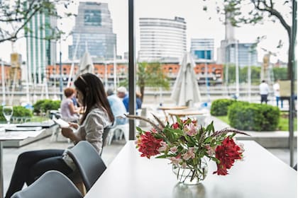 Desde el café de La Colección una vista típica de Puerto Madero