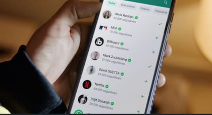 Desde el cifrado hasta los mensajes temporales: existen múltiples herramientas para proteger la privacidad