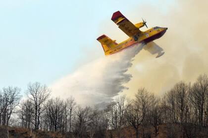 Desde el inicio de año se realizaron 318 de operativos para combatir los incendios forestales en la región Como de Italia