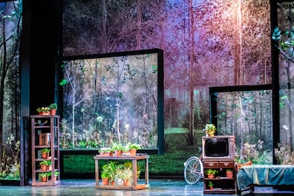 Desde el jardín, nominada en la categoría de escenografía
