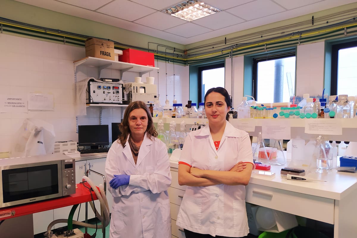 Desde el laboratorio, las doctoras Lucía Policastro y Cristina Soraires esperan producir nanomedicamentos en masa