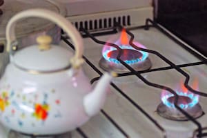 Desde el lunes se podrá renunciar a los subsidios en luz, gas y agua