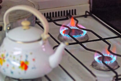 Desde el lunes se podrá renunciar a los subsidios en luz, gas y agua