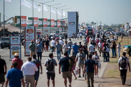 Desde el martes 5 de marzo, los visitantes podrán recorrer la muestra, buscando conocer las novedades