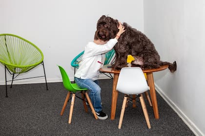 Desde el Ministerio Público Tutelar aseguran que "esa sorpresa linda de encontrarse con los perros aliviana un poco la carga emocional con la que llegan los chicos”