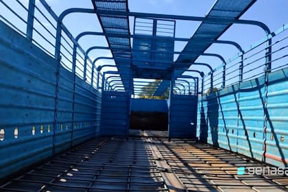 Desde el organismo dijeron que un 60% lo hace con transportes habilitados