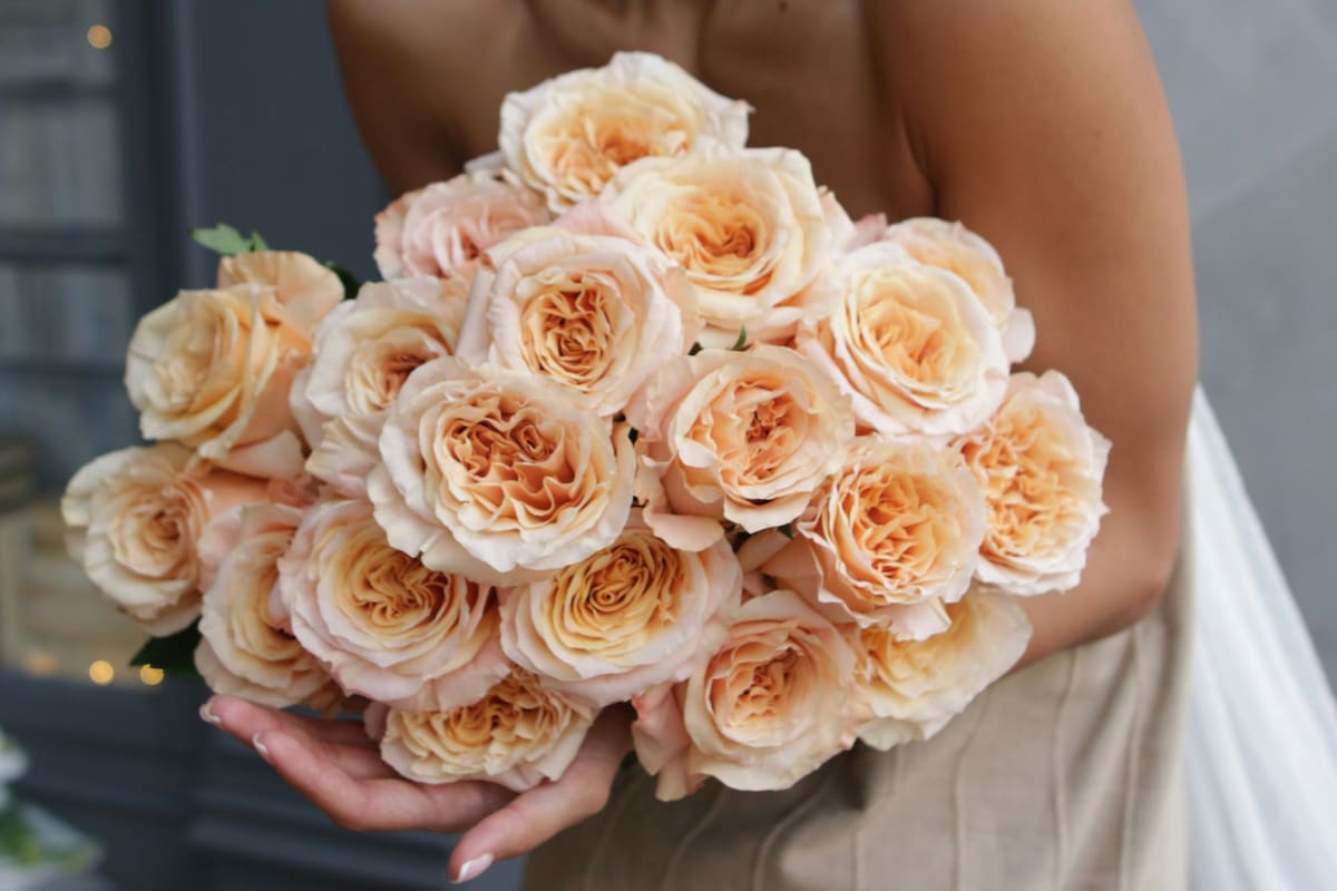 Desde el pasado 1° de enero, la CBP registró 1000 millones de arreglos flores importados en EE.UU.