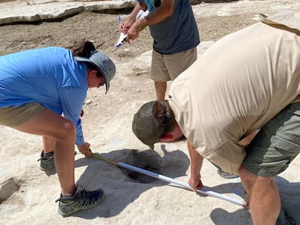 Desde el primer descubrimiento en 1909, especialistas han trabajado en los rastros de la vida de los dinosaurios para relatar la historia de su existencia en la tierra