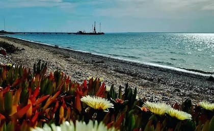 Desde el Puerto de San Antonio se puede ver el movimiento de los buques de exportación
