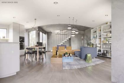 Desde el punto de vista del perro, una habitación vibrante de colores se transforma en una extensión opaca y brumosa