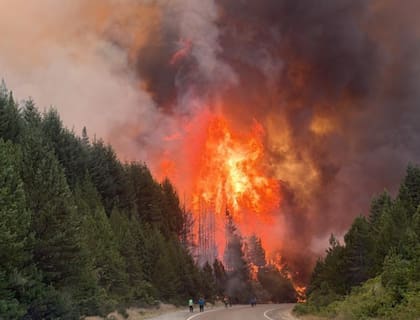 Desde Esquel, productores advirtieron sobre el impacto ambiental, ganadero y social de los incendios forestales que siguen activos