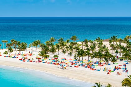 Desde febrero de 2026, American Airlines será la única aerolínea en ofrecer vuelos directos desde Estados Unidos a Bimini