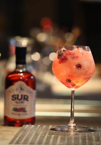 Desde gin tonic clásico hasta negroni: los mejores cócteles para hacer con este gin (Captura: Instagram @surginok)