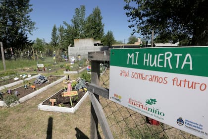 Desde hace 20 años, la Fundación Huerta Niño trabaja por combatir la desnutrición infantil y por fomentar el desarrollo comunitario