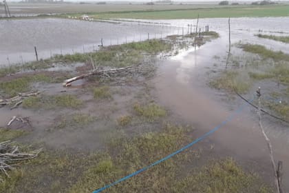 Desde hace cinco años que el productor denuncia que es víctima de inundaciones