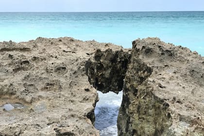 Desde hace décadas que el lugar es altamente preservado
