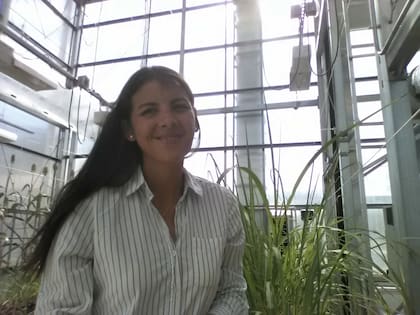 Desde Holanda lidera una investigación vinculada a la bioeconomía y al aprovechamiento de materiales vegetales descartados