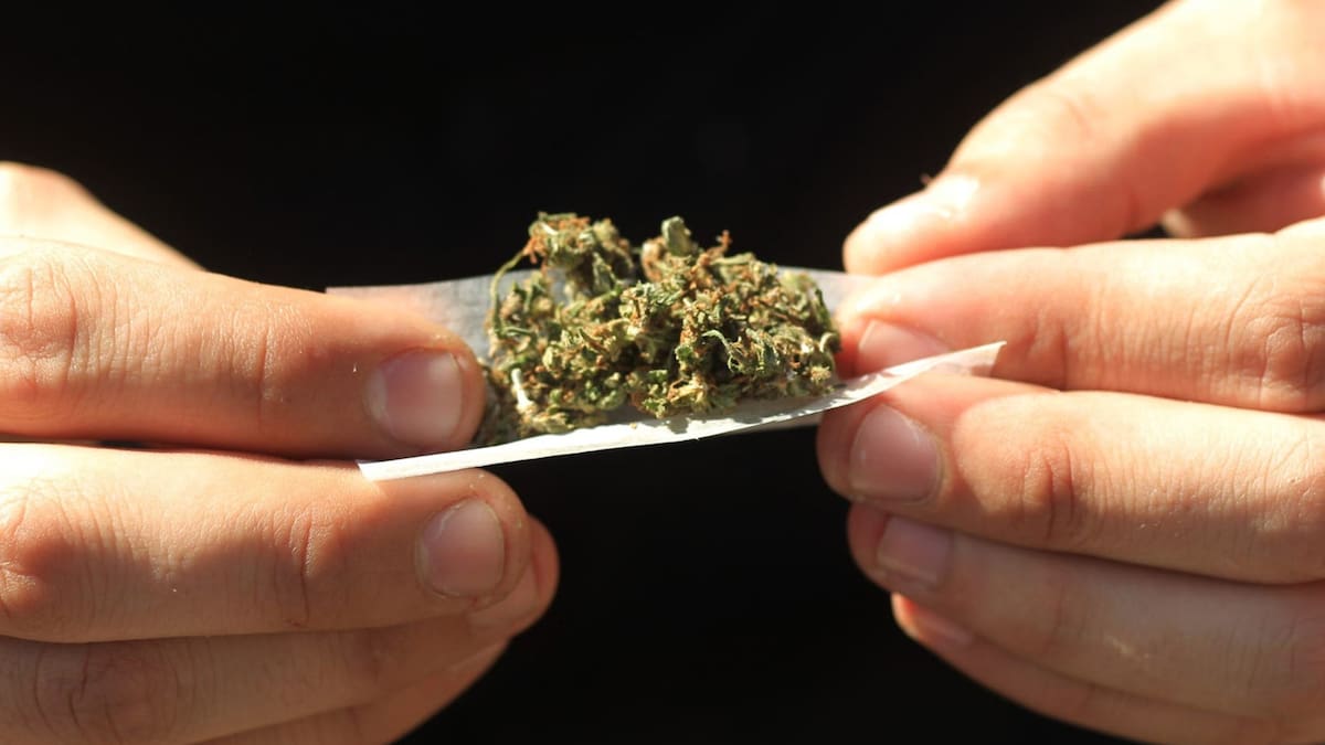 El consumo de marihuana desplazó al tabaco entre los universitarios - LA NACION