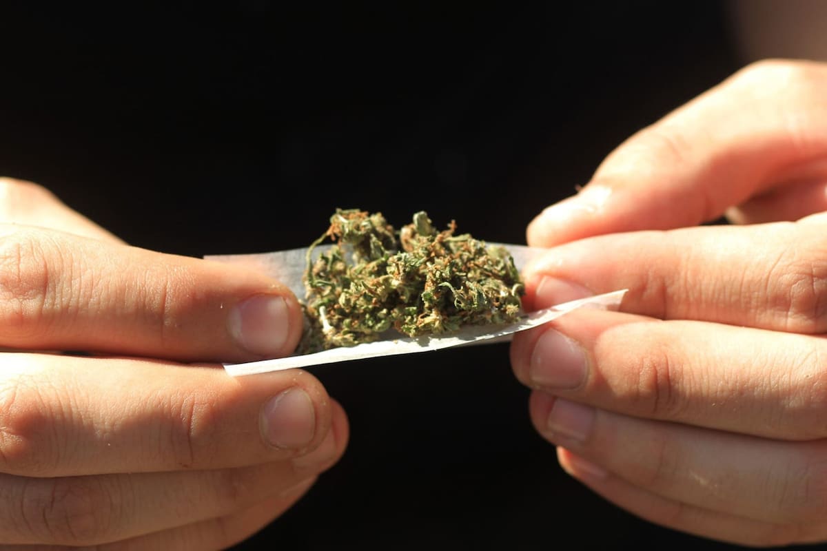 Desde la Asociación Estadounidense del Pulmón informaron que fumar marihuana puede "confundir" a los y las profesionales de la salud a la hora de diagnosticar coronavirus.