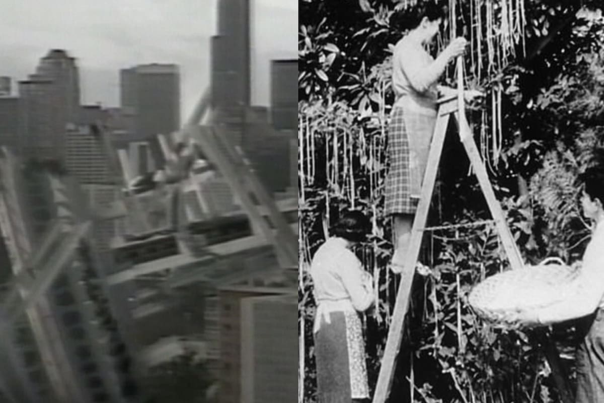 Desde la 'caída' de la torre Space Needle en Seattle (izq.) hasta los 'árboles de fideos'; algunas de las mejores bromas que los medios hicieron a la audiencia para el April Fools' Day