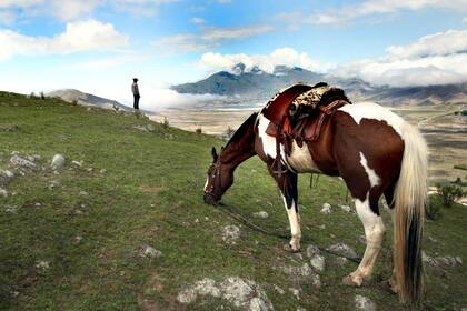 Desde la capital hasta los parajes calchaquíes, recomendados y precios para un viaje con todo incluido por "el jardín de la república"