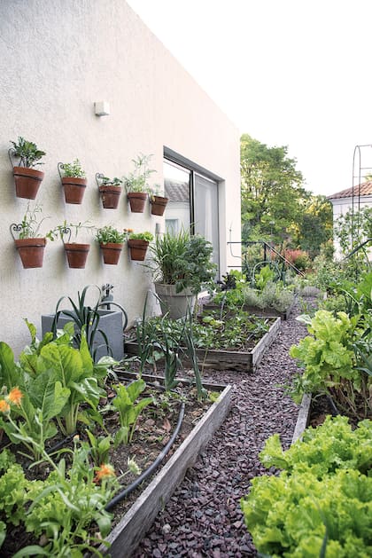 Desde la obra, la terraza fue muy bien preparada: con doble tela asfáltica y piedrita. La huerta se armó en cajones de madera para evitar problemas de filtraciones