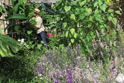 Desde la primavera temprana –con plantas bulbosas como marimonias y fresias– hasta bien entrado el otoño –con dalias y espigas de gramíneas–, las flores cultivadas son la materia prima fundamental para sus diseños florales.