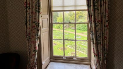 Desde la ventana del dormitorio Darwin podía supervisar su jardín