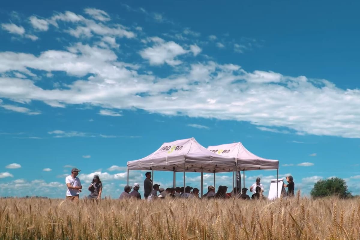 Desde lo agronómico, este panorama positivo convive con una realidad económica exigente