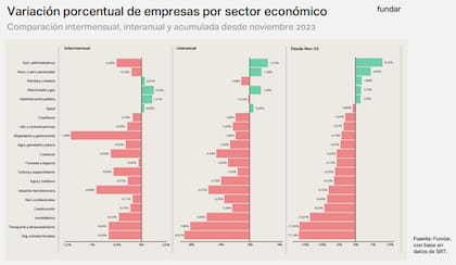 Desde noviembre de 2023, los únicos sectores que crecieron en la cantidad de empresas en el país fueron servicios administrativos, asociaciones y servicios personales, petróleo y minería, electricidad y gas, y administración pública