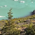Un grupo de turistas brasileños ingresó a una zona prohibida del Parque Nahuel Huapi