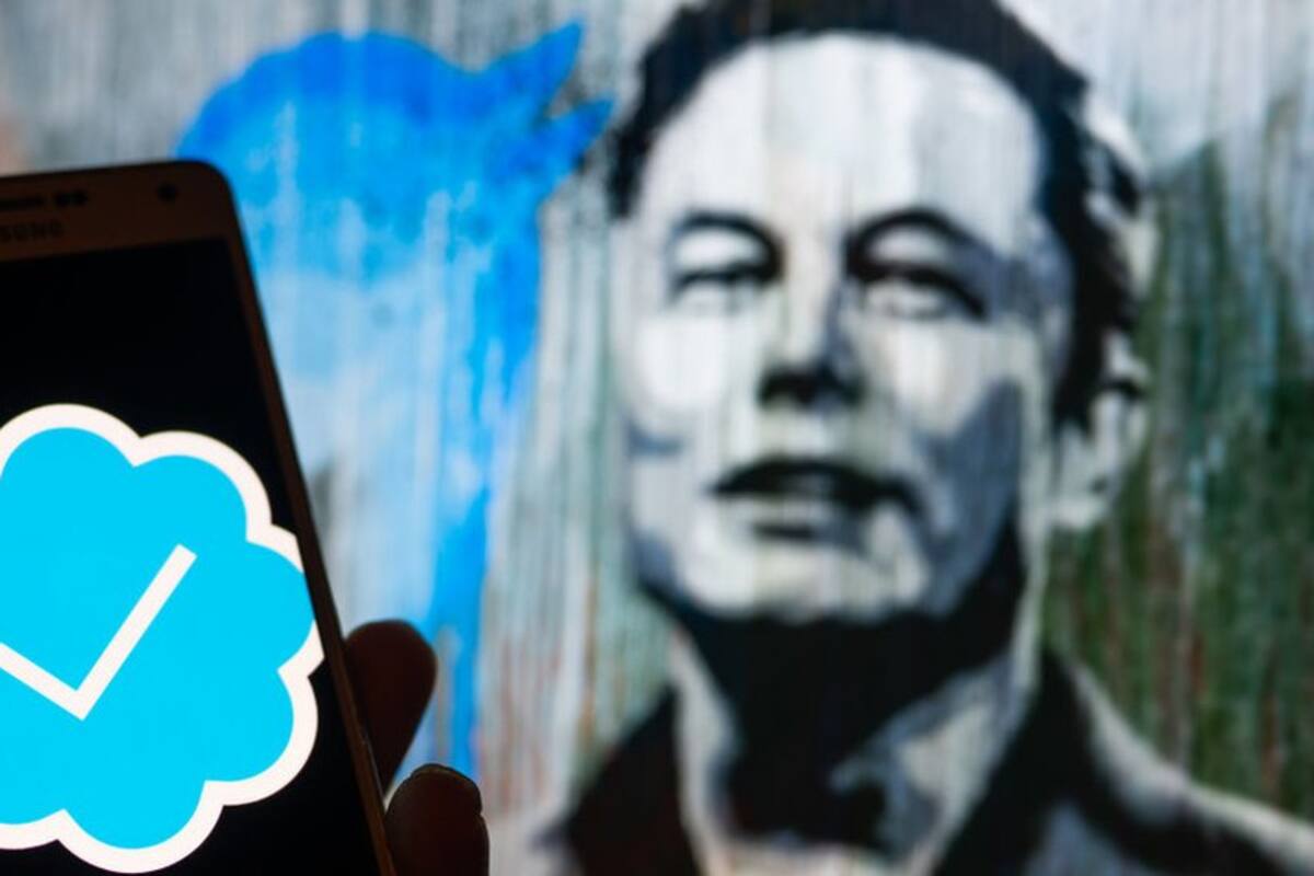 Desde qe Elon Musk compró Twitter se han implementado numerosos cambios en la plataforma.