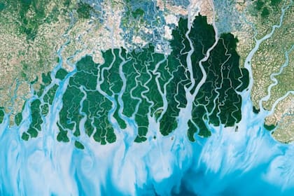 Desde que pudimos ver nuestro planeta desde el espacio, no cesan de llegar imágenes hermosas, como ésta de Sundarbans, el delta fluvial más grande del mundo, que se divide en India y Bangladesh